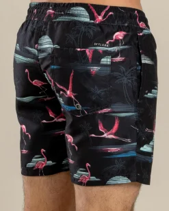 Shorts & Bottoms*Skylark Alcove Elastic Waist Board Shorts Black