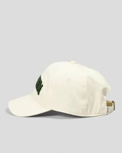 Best Arch Sports Cap Headwear