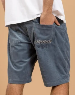 Best Ascent Walk Shorts Shorts & Bottoms