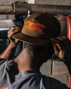 Headwear*Antihero Basic Eagle Snapback Cap Brown/orange