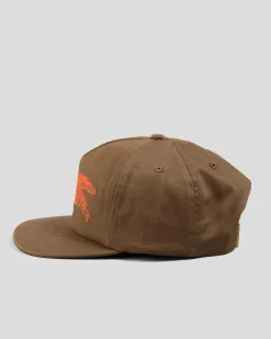 Headwear*Antihero Basic Eagle Snapback Cap Brown/orange
