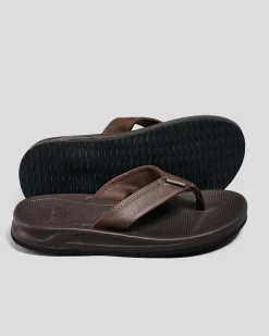 Online Bayside Thongs Flip Flops & Sandals