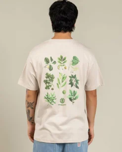 Tops & T-Shirts*Element Bigfoot Trees T-Shirt Oat Milk