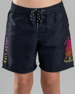 Clearance Boys' Captain Elastic Waist Shorts Kids/BOY Shorts & Bottoms