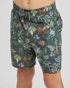 Board Shorts|Shorts & Bottoms*Jacks Boys' Wasteland Elastic Waist Shorts Charcoal/multi