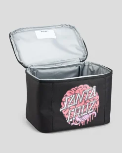 Clearance Brain Dot Lunch Box Kids Bottles & Lunch Boxes|Bottles & Lunch Boxes