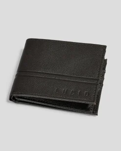 Wallets*Lucid Declaration Leather Wallet Brown