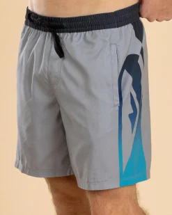Board Shorts|Shorts & Bottoms*Quiksilver Everyday Holmes Volley 17NB Board Shorts Quarry Holmes