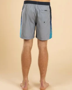 Board Shorts|Shorts & Bottoms*Quiksilver Everyday Holmes Volley 17NB Board Shorts Quarry Holmes