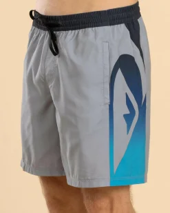 Board Shorts|Shorts & Bottoms*Quiksilver Everyday Holmes Volley 17NB Board Shorts Quarry Holmes
