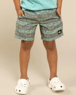 Board Shorts|Toddlers*Quiksilver Everyday Straight VLY Boy 13NB Board Shorts Granite Terra Stripe