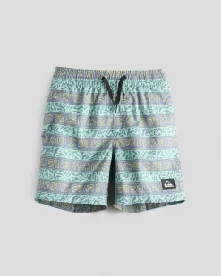 Board Shorts|Toddlers*Quiksilver Everyday Straight VLY Boy 13NB Board Shorts Granite Terra Stripe