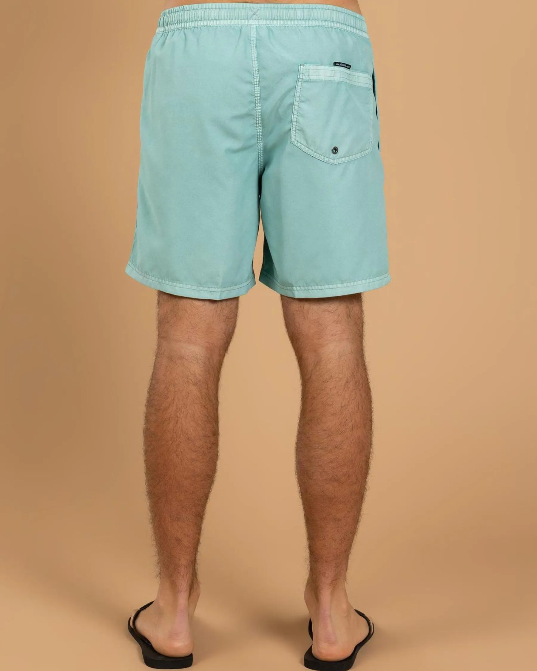 Board Shorts|Shorts & Bottoms*Quiksilver Everyday Surfwash Volley 17 NB Board Shorts Aquifer