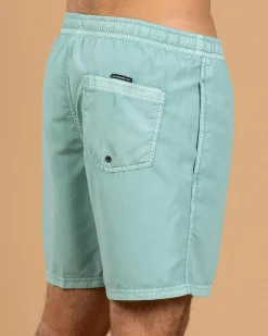 Board Shorts|Shorts & Bottoms*Quiksilver Everyday Surfwash Volley 17 NB Board Shorts Aquifer