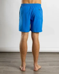 Board Shorts|Shorts & Bottoms*Quiksilver Everyday Vert Volley 2 17