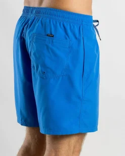 Board Shorts|Shorts & Bottoms*Quiksilver Everyday Vert Volley 2 17