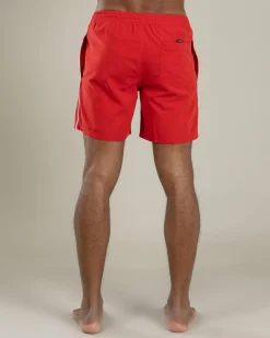 Online Everyday Vert Volley 17NB Board Short Board Shorts|Shorts & Bottoms