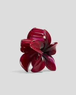 New Frangipani Hair Claw Clip Kids Face & Body