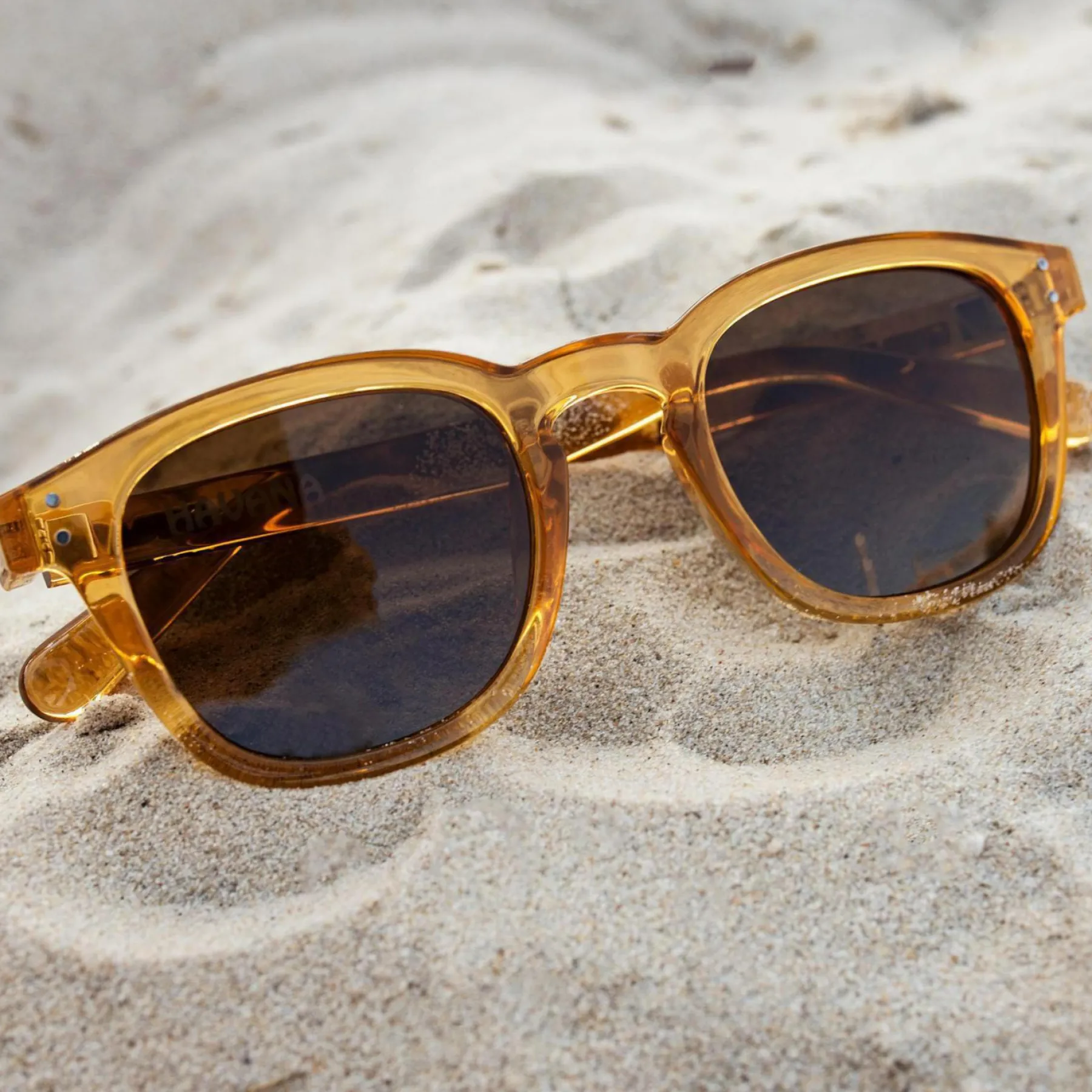 Sunglasses*Carve Havana Polarised Sunglasses Clear Honey
