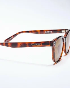 Homeland Polarised Sunglasses Sunglasses