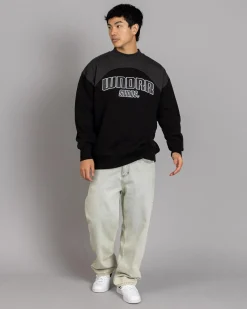 New Limitz Panel Sweatshirt Hoodies & Sweatshirts