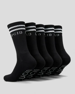 Linked Socks 5 Pack Socks