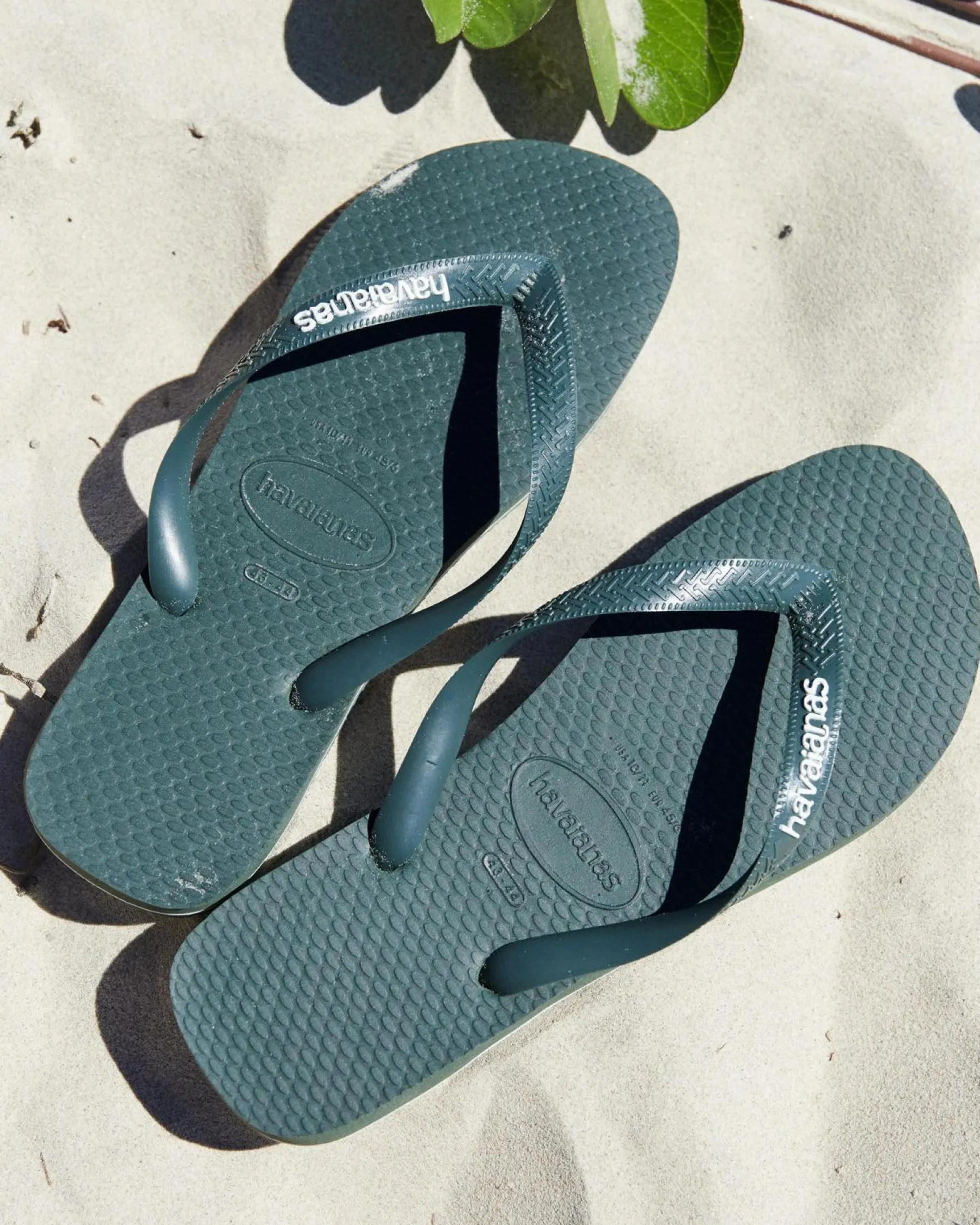 Flip Flops & Sandals*Havaianas Logo Thongs Green Olive