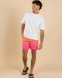 Online Luminous Elastic Waist Shorts Shorts & Bottoms