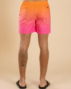 Online Luminous Elastic Waist Shorts Shorts & Bottoms