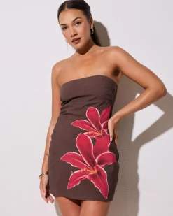 New Lydia Dress Women Dresses