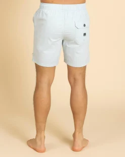 Shorts & Bottoms*Billabong Mario 2.0 Elastic Walk Shorts Mist