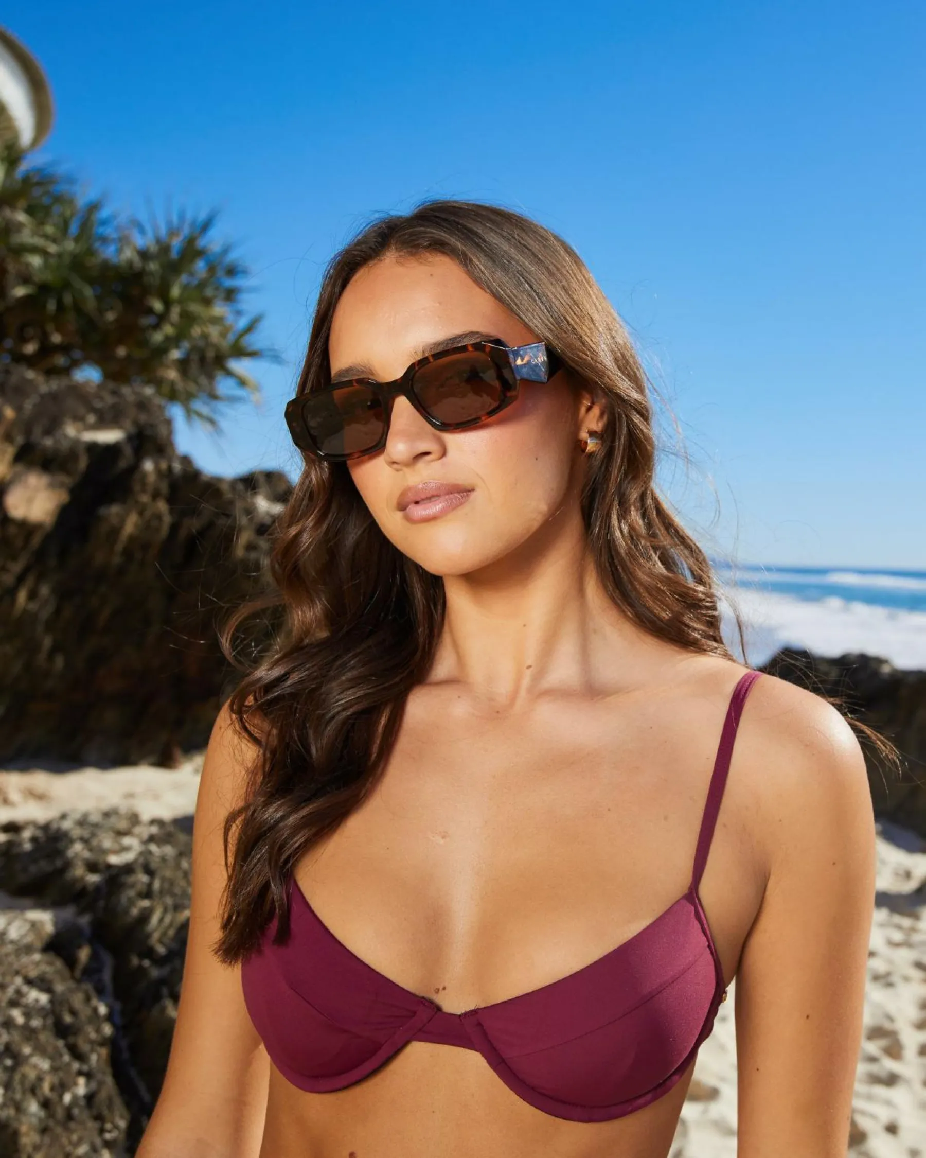 Sunglasses*Carve Milan Sunglasses Gloss Tort/brwn