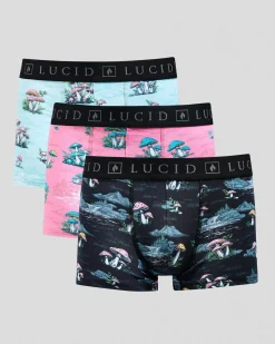 Best Organic Fitted Boxer Shorts 3 Pack Underwear & Sleepwear