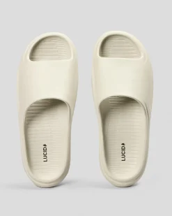 Slides*Lucid Protocol Slides Oatmeal