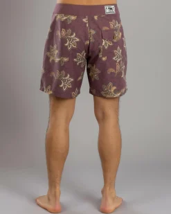 Discount Reed Board Shorts Board Shorts|Shorts & Bottoms