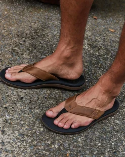 Flip Flops & Sandals*Reef Santa Ana LE Sandals Black/tan