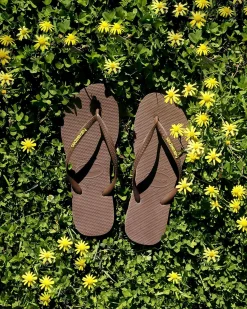 Flip Flops*Havaianas Slim Rubber Logo Thongs Brown