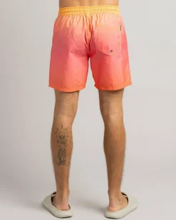 New Solaris Elastic Waist Shorts Board Shorts|Shorts & Bottoms