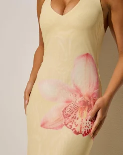 Dresses*Mooloola Susie Maxi Dress Butter/pink
