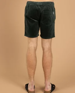 Shorts & Bottoms*Skylark Tether Elastic Waist Shorts Teal