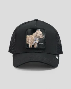 Best The Pitbull Trucker Cap Headwear