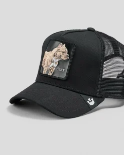 Best The Pitbull Trucker Cap Headwear