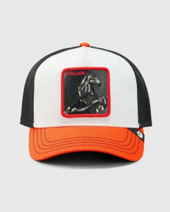 Headwear*Goorin Bros The Tricolour Stallion Trucker Cap Multi