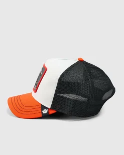 Headwear*Goorin Bros The Tricolour Stallion Trucker Cap Multi