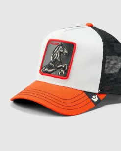 Headwear*Goorin Bros The Tricolour Stallion Trucker Cap Multi
