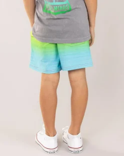 Toddlers|Shorts & Bottoms*Skylark Toddlers' Combo Elastic Waist Shorts Multi Fade