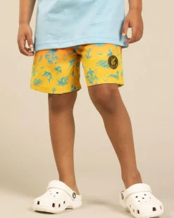 Clearance Toddlers' Mystify Elastic Waist Shorts Kids/BOY Toddlers|Shorts & Bottoms