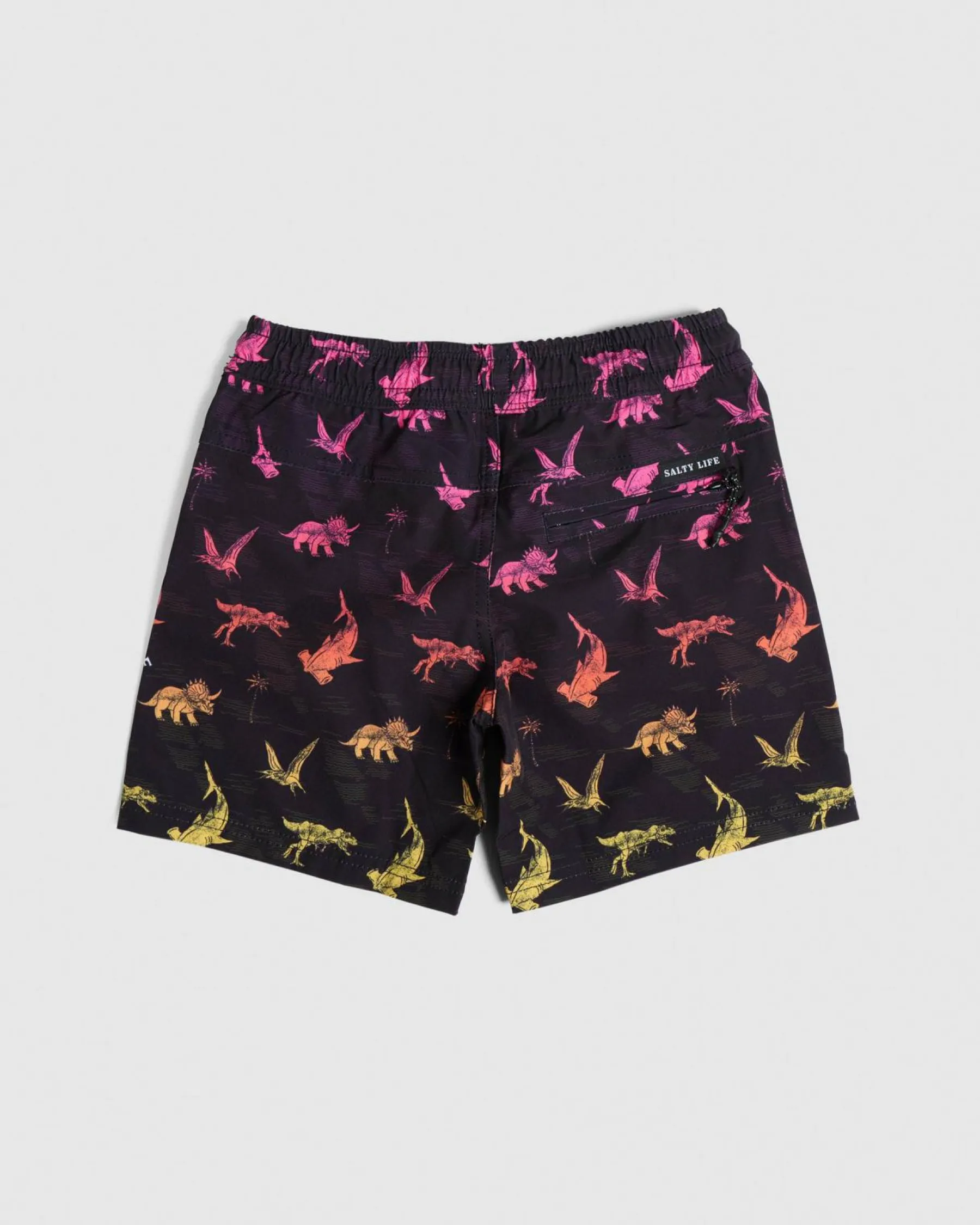 Clearance Toddlers Triassic Elastic Waist Shorts Kids/BOY Board Shorts|Toddlers
