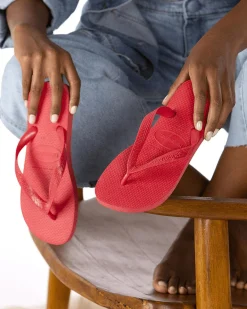 Flip Flops & Sandals*Havaianas Top Thongs Ruby Red