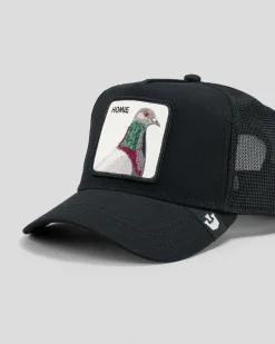 Outlet V2 Pigeon Trucker Cap Headwear